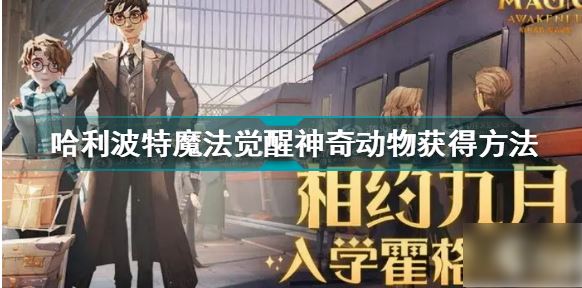 哈利波特魔法觉醒怎么